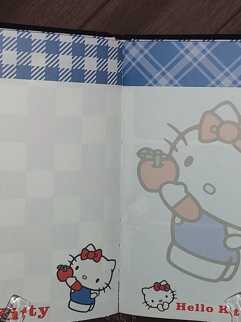 New!Hello Kitty Blue Plaid Notebook with Red Accents